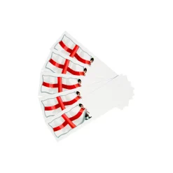 St George's Flag Mini Briefs