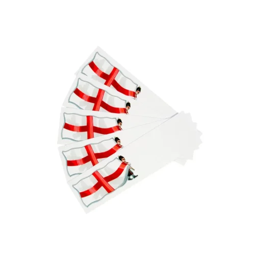 St George's Flag Mini Briefs