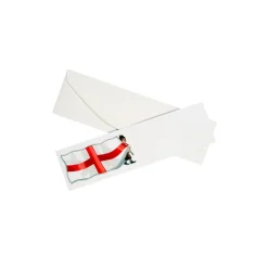 St George's Flag Mini Briefs